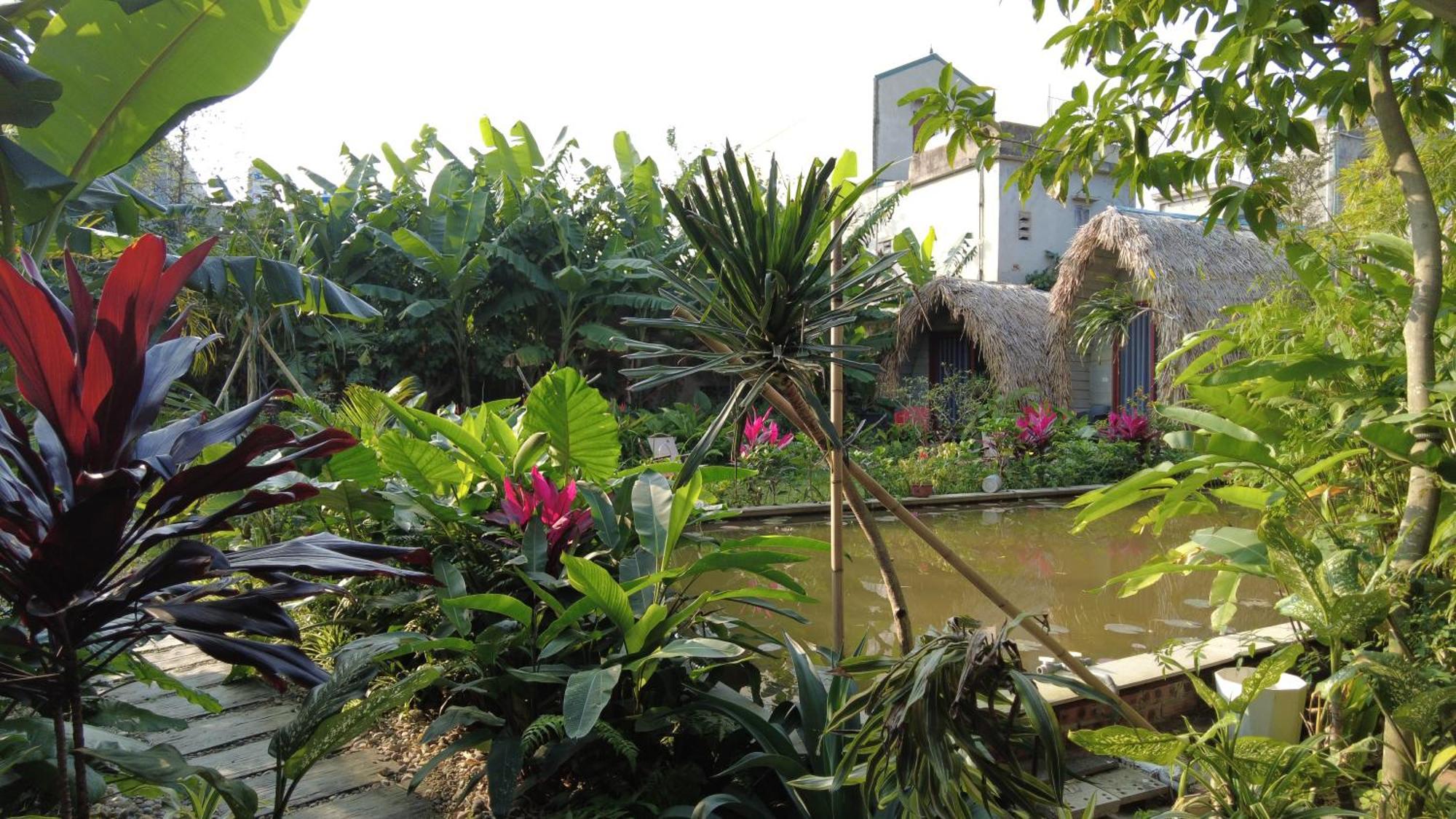 Amy House Apartment Ninh Binh Exterior foto
